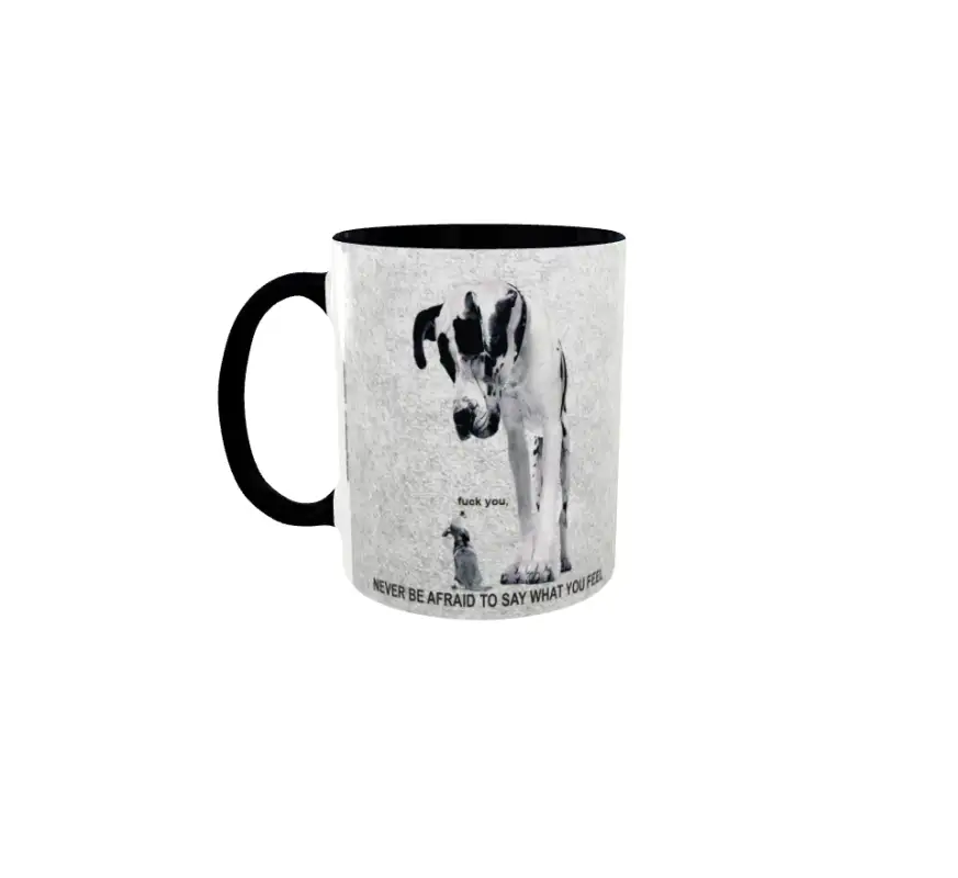 Never be afraid..., cana ceramica, 330mlv