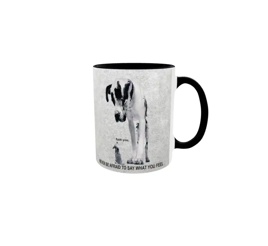 Never be afraid..., cana ceramica, 330mlv