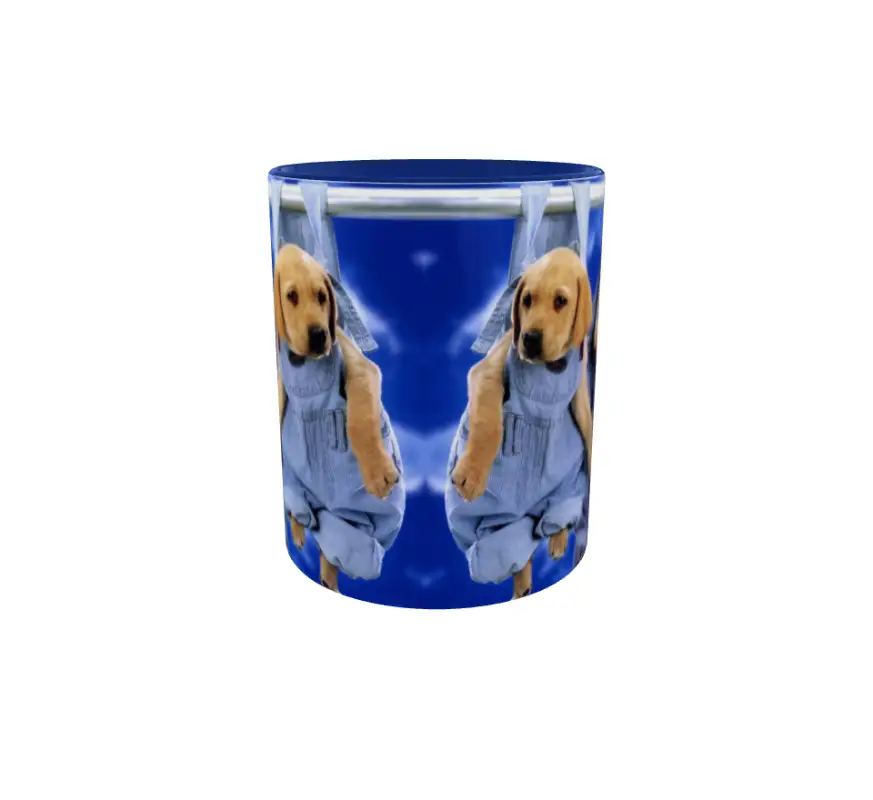 Catei, cana ceramica, 330ml, cgs1289v