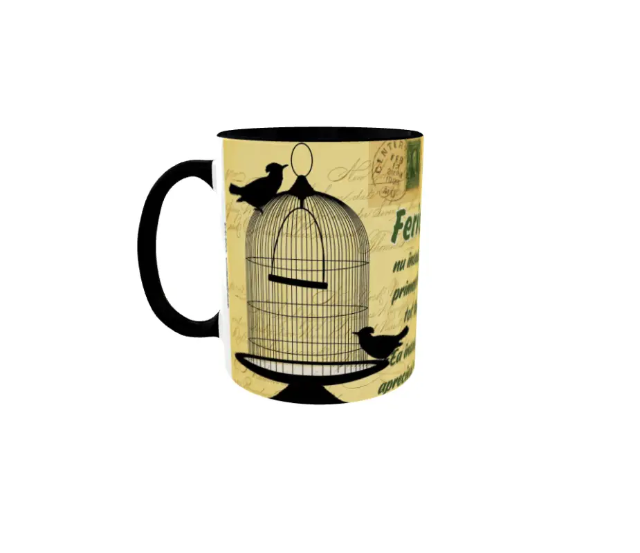 Fericirea nu inseamna sa primesti ce vrei tot timpul, cana din ceramica, 330ml
